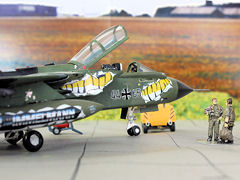 Luftwaffe 44+65
