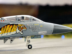 Tigermeet 1998